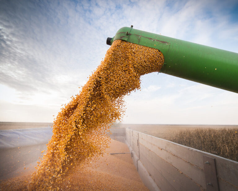 LUCKEY FARMERS NW Ohio Grain Marketing & Farm Supply Cooperative