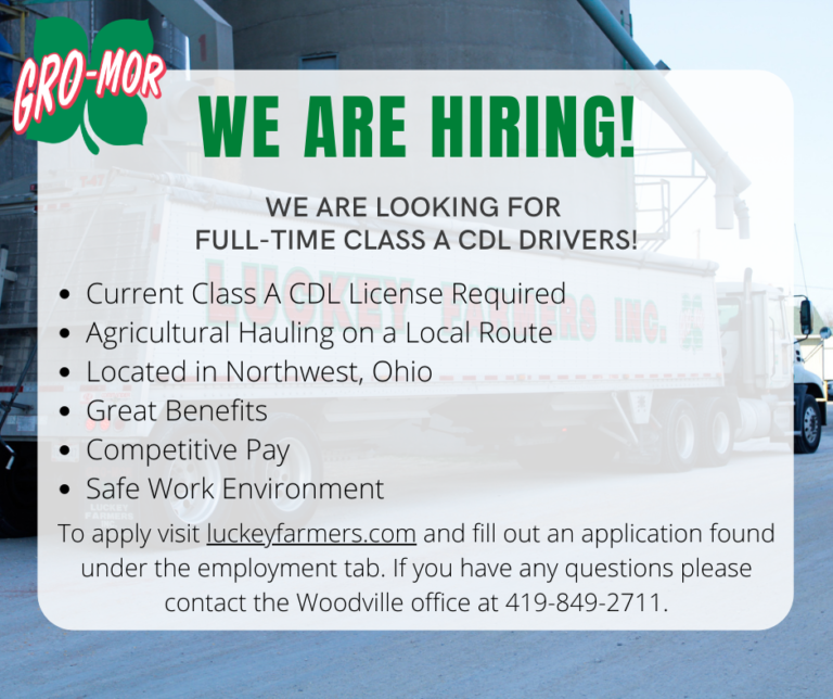 We are Hiring